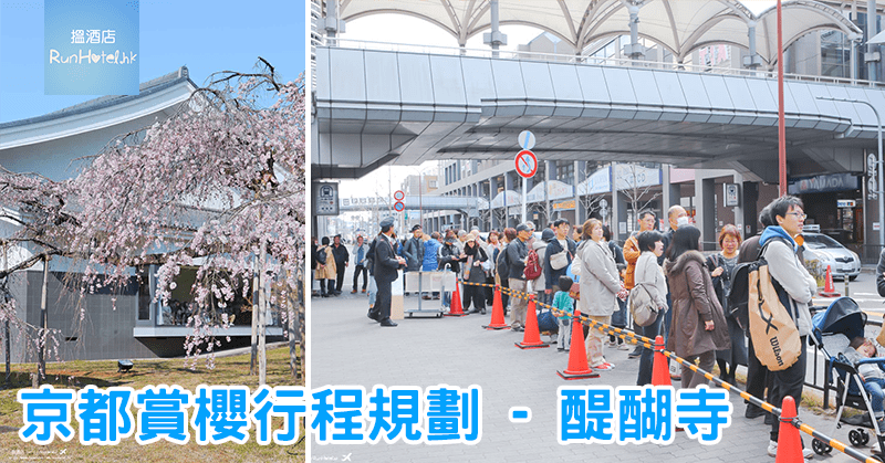 京都賞櫻行程規劃-醍醐寺三寶院憲深林苑看支垂櫻