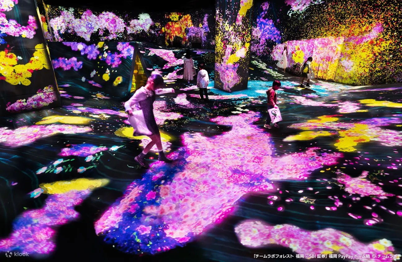 teamLab